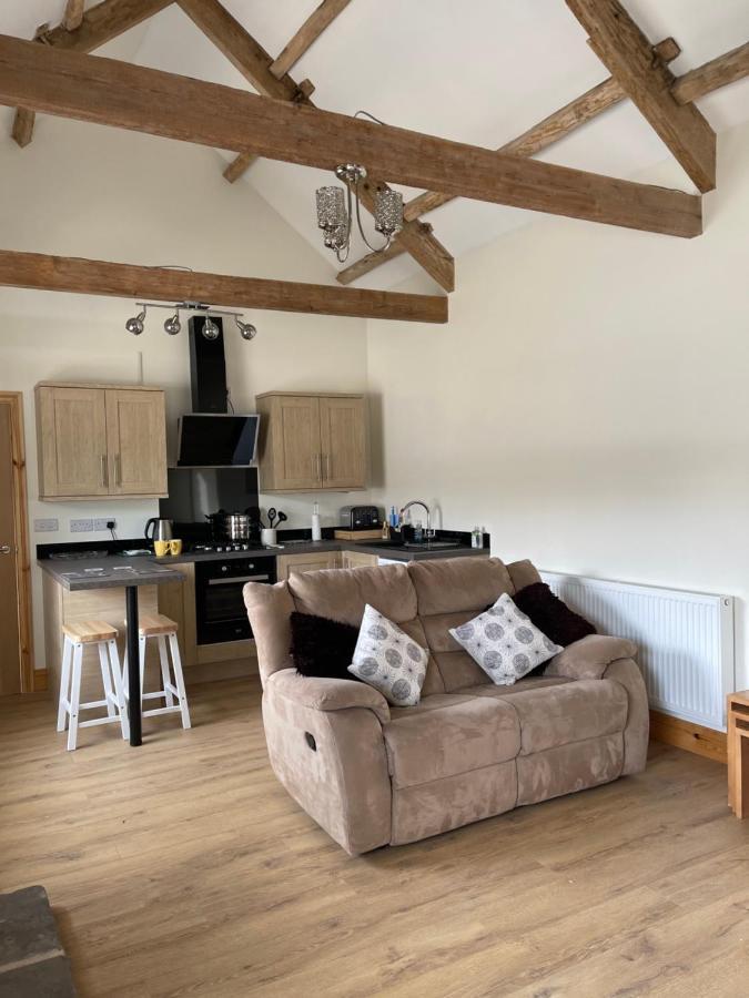 Red Kite Barn Villa Ammanford Exterior photo