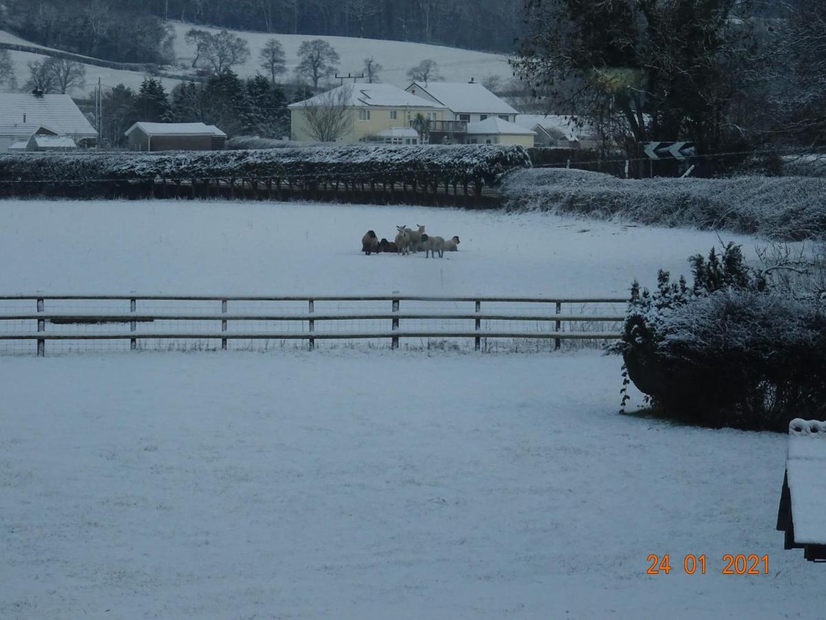 Red Kite Barn Villa Ammanford Exterior photo