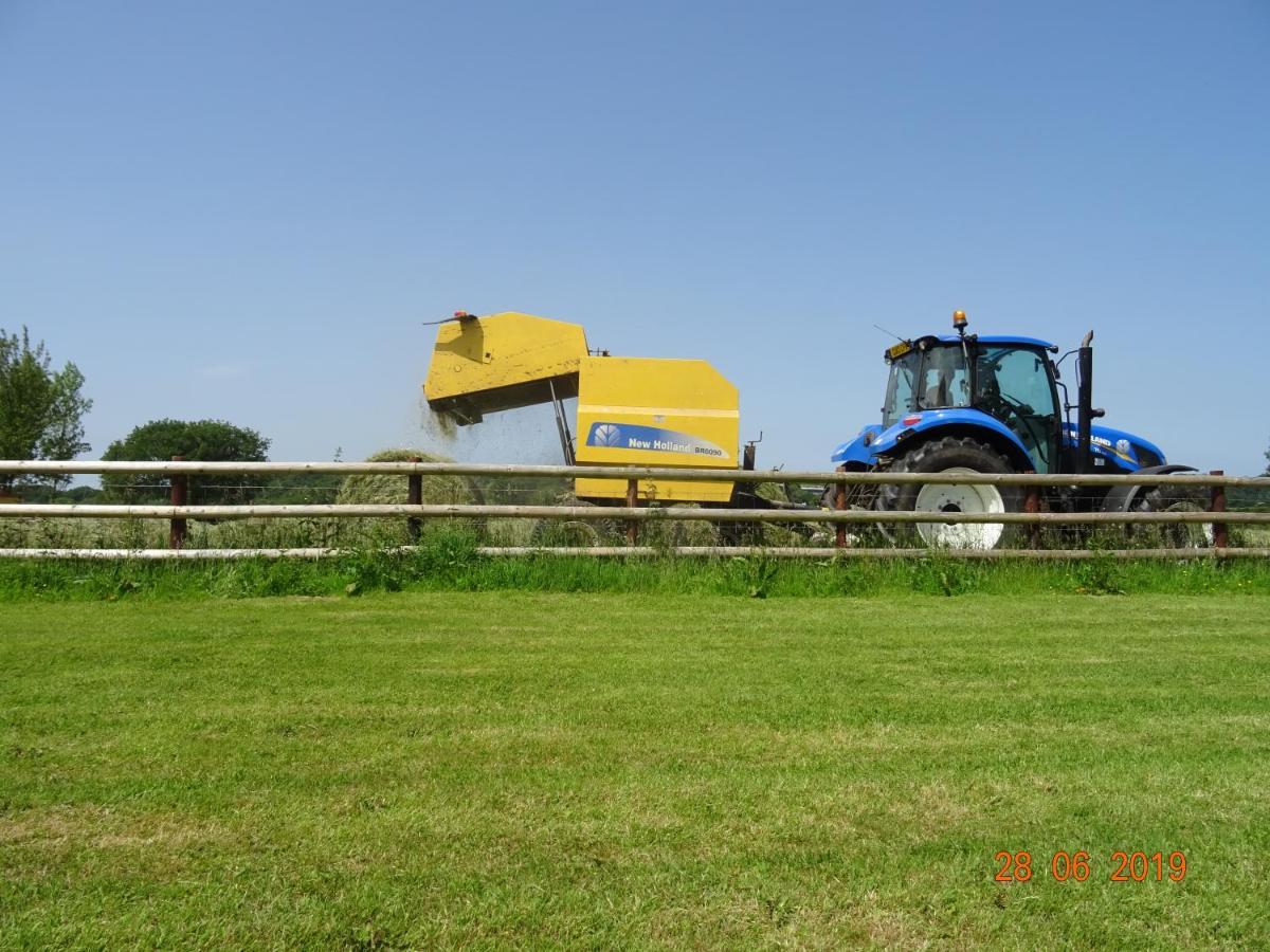 Red Kite Barn Villa Ammanford Exterior photo